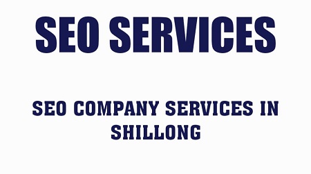 SEO Company in Shillong