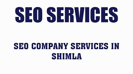 SEO Company in Shimla